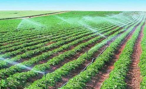 斯里兰卡美女大阴户毛茸茸视频农田高 效节水灌溉
